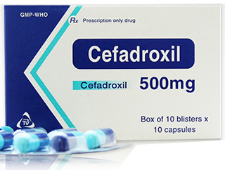 Cefadroxil 